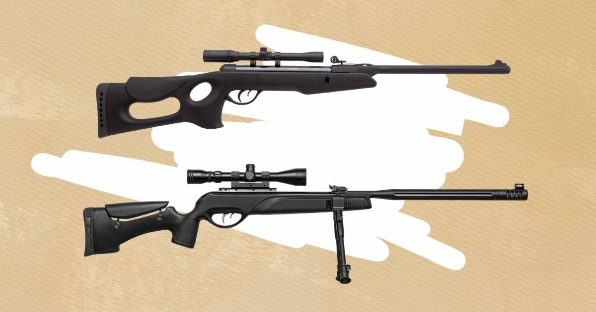 The Most Accurate Gamo Air Rifle Tested And Researched