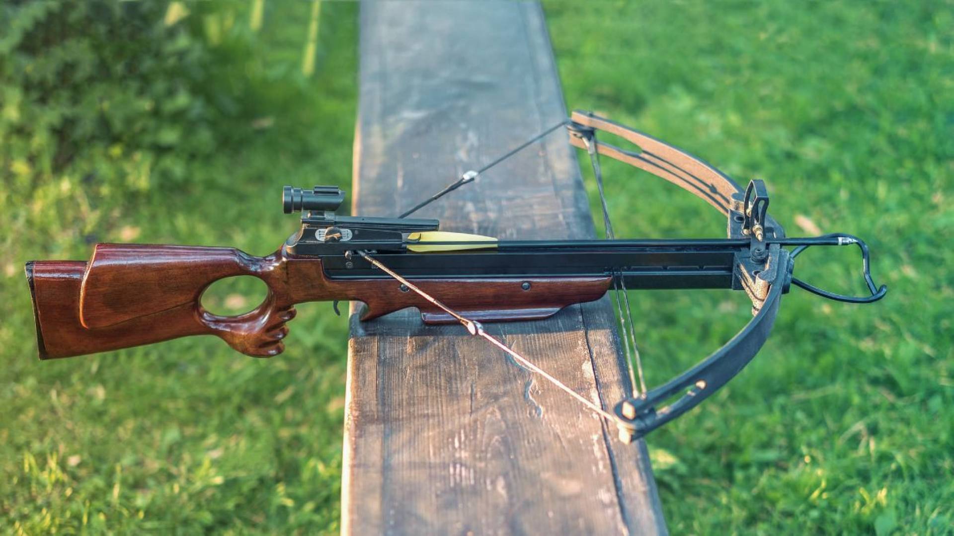 The Best Bow For Hunting Deer In 2024