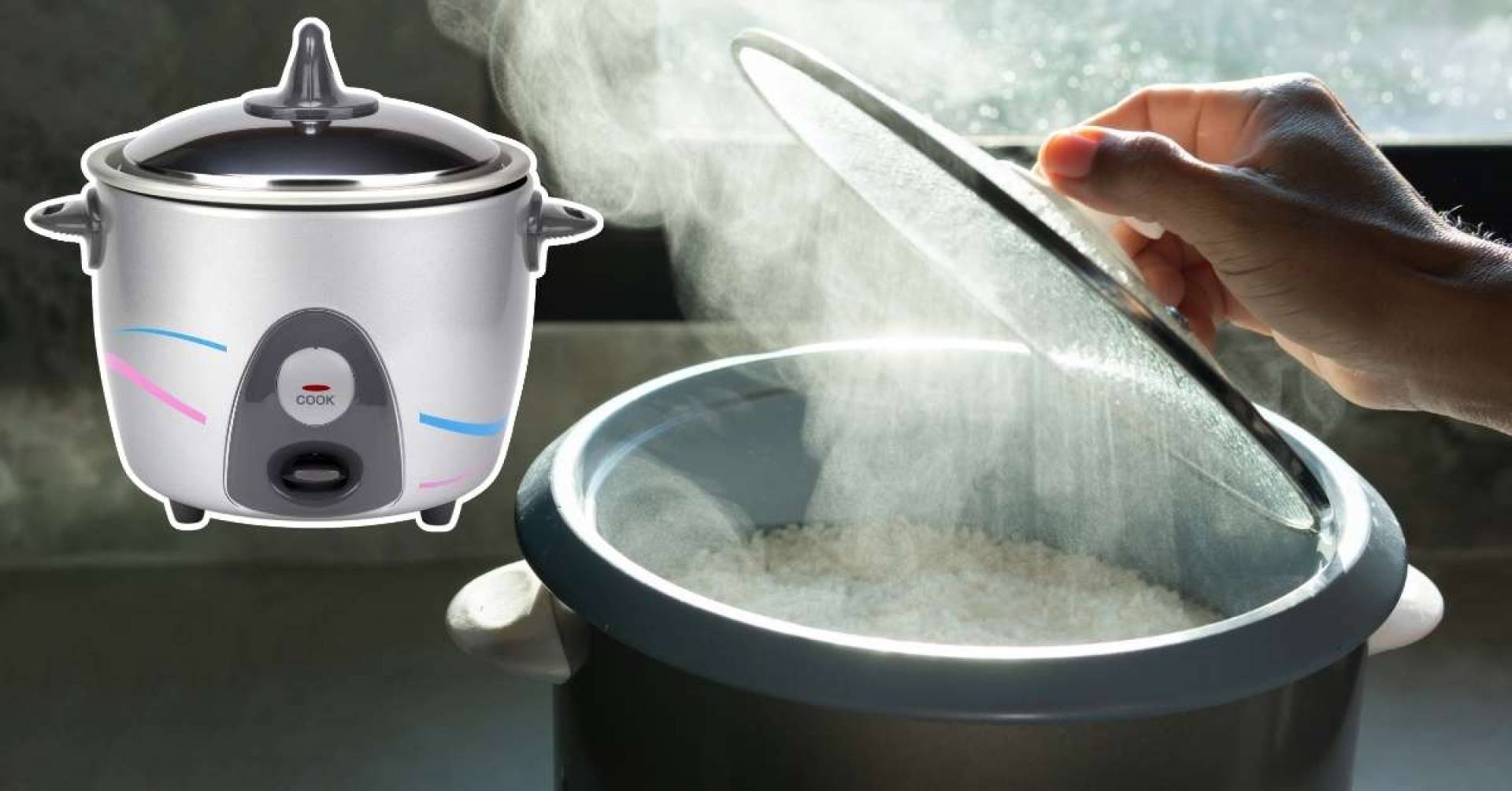 The Best 2 Cup Rice Cooker Top Picks: Updated In September 2024