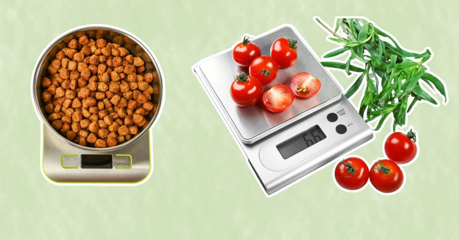 The 10 Most Accurate Food Scale Tested And Researched