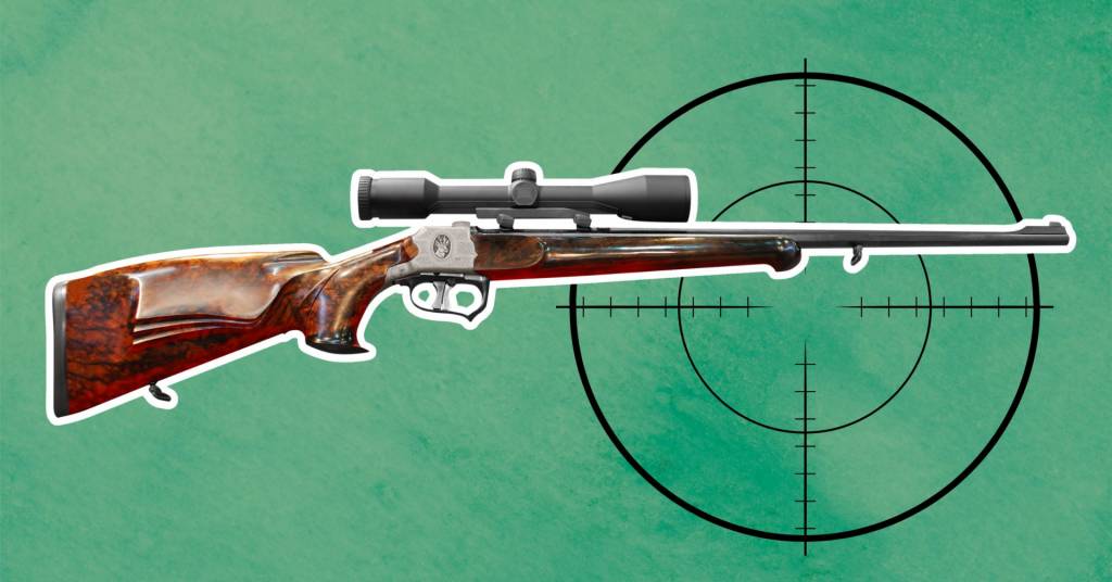 The Best 177 Pellet Rifle For Accuracy For 2024