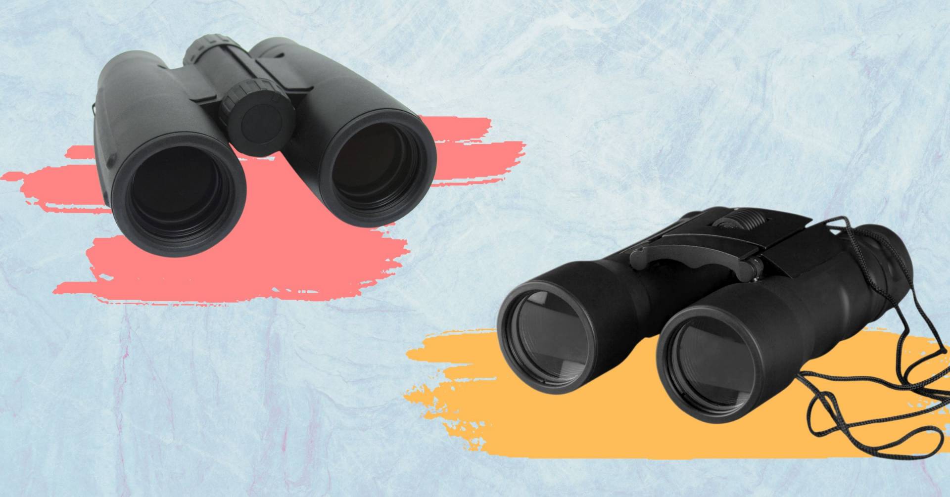 The Best Binoculars For Birdwatching In