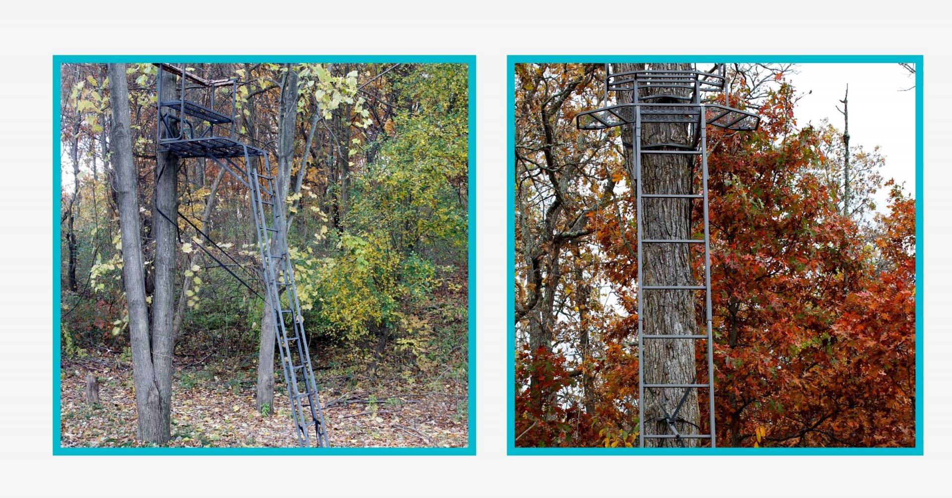 The 10 Best Ladder Stand Of 2024 Tested By CampFireHQ   Best Ladder Stand 1672130977 1920 60 