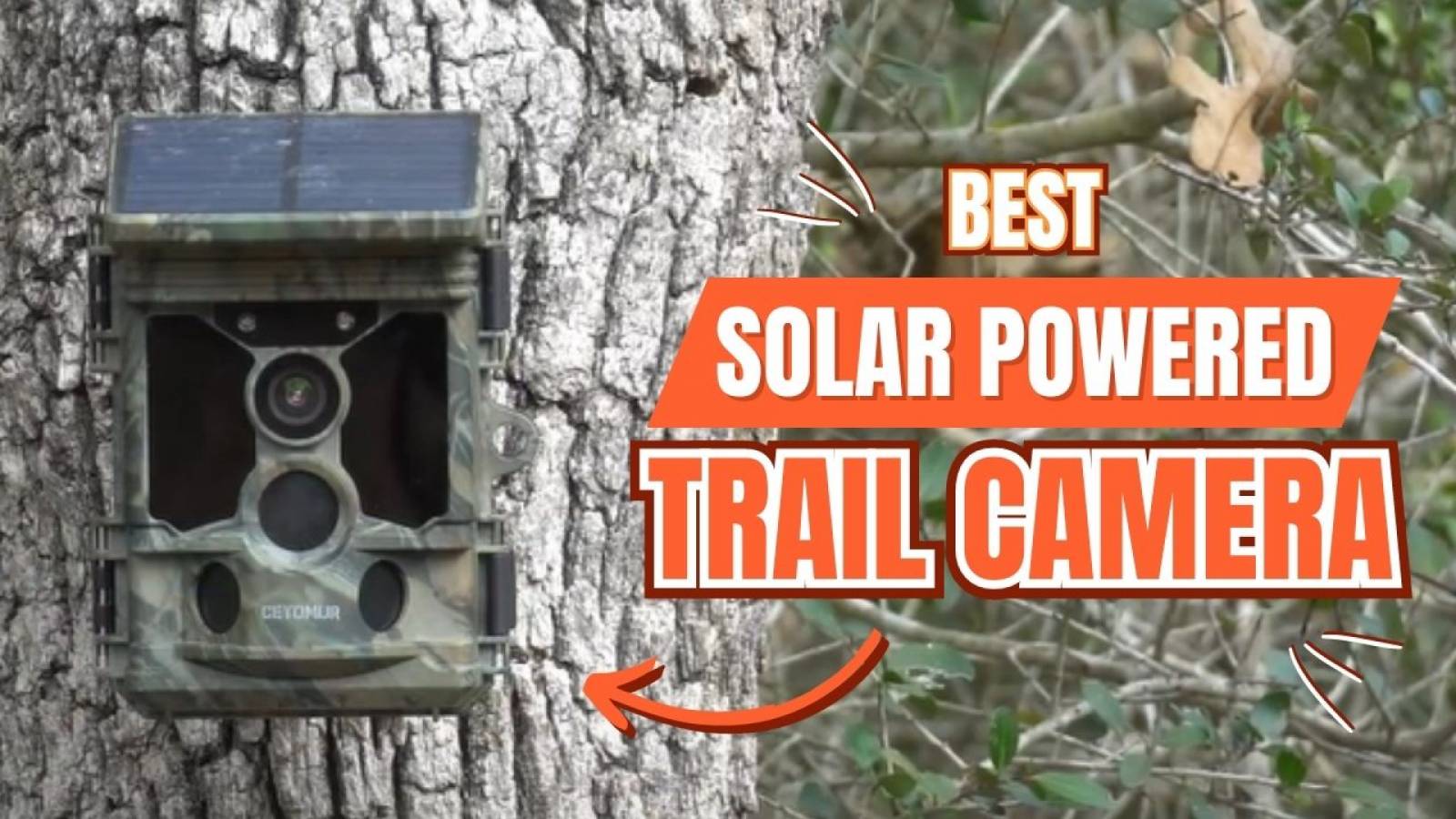 Best Solar Trail Cameras 2024 Anthia Christan