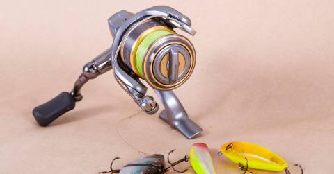 The Best 1000 Series Spinning Reel - Complete Buying Guide 2024