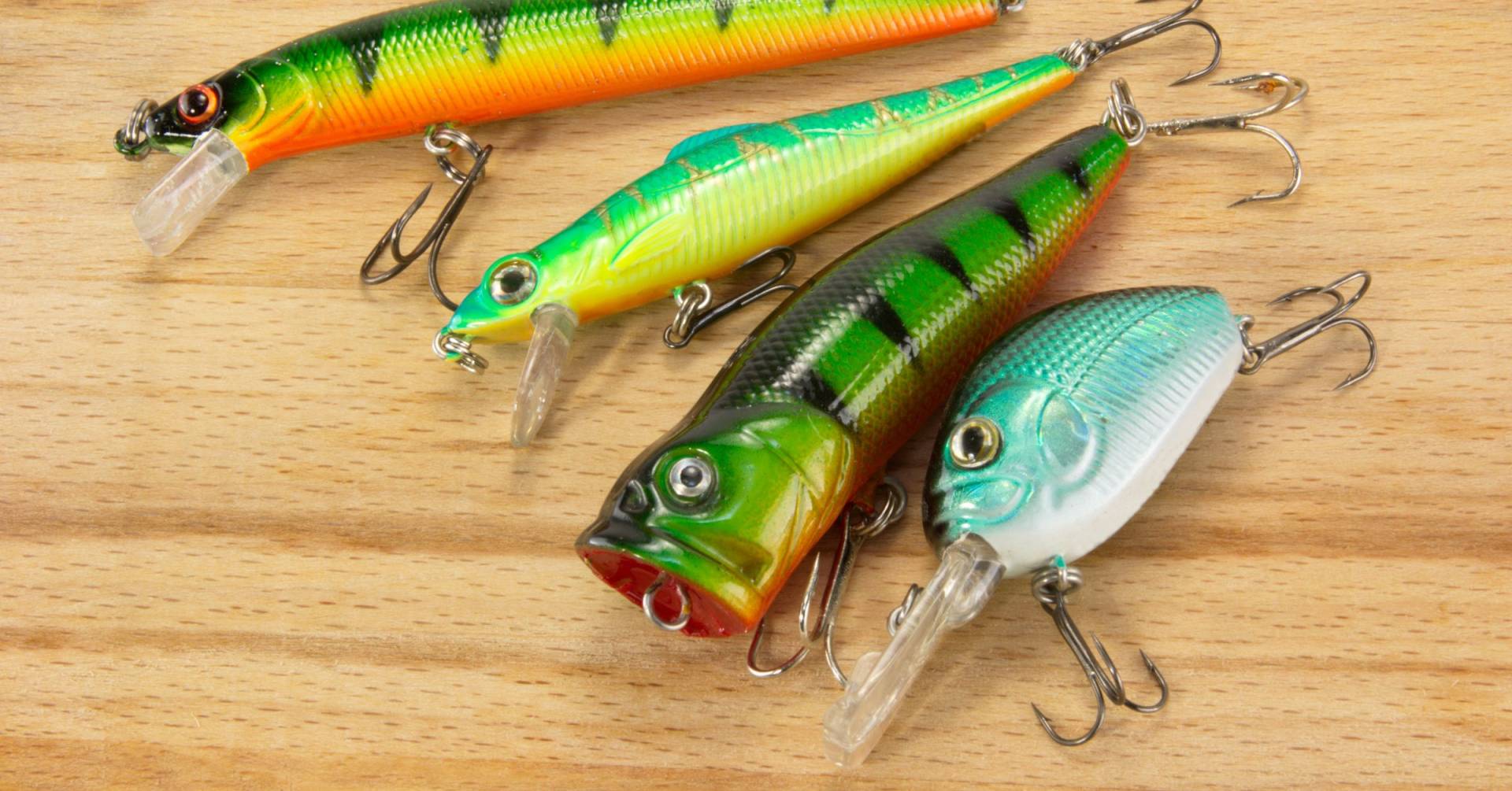 The Best Artificial Bait For Bass Of Top Rated And Buying Guide