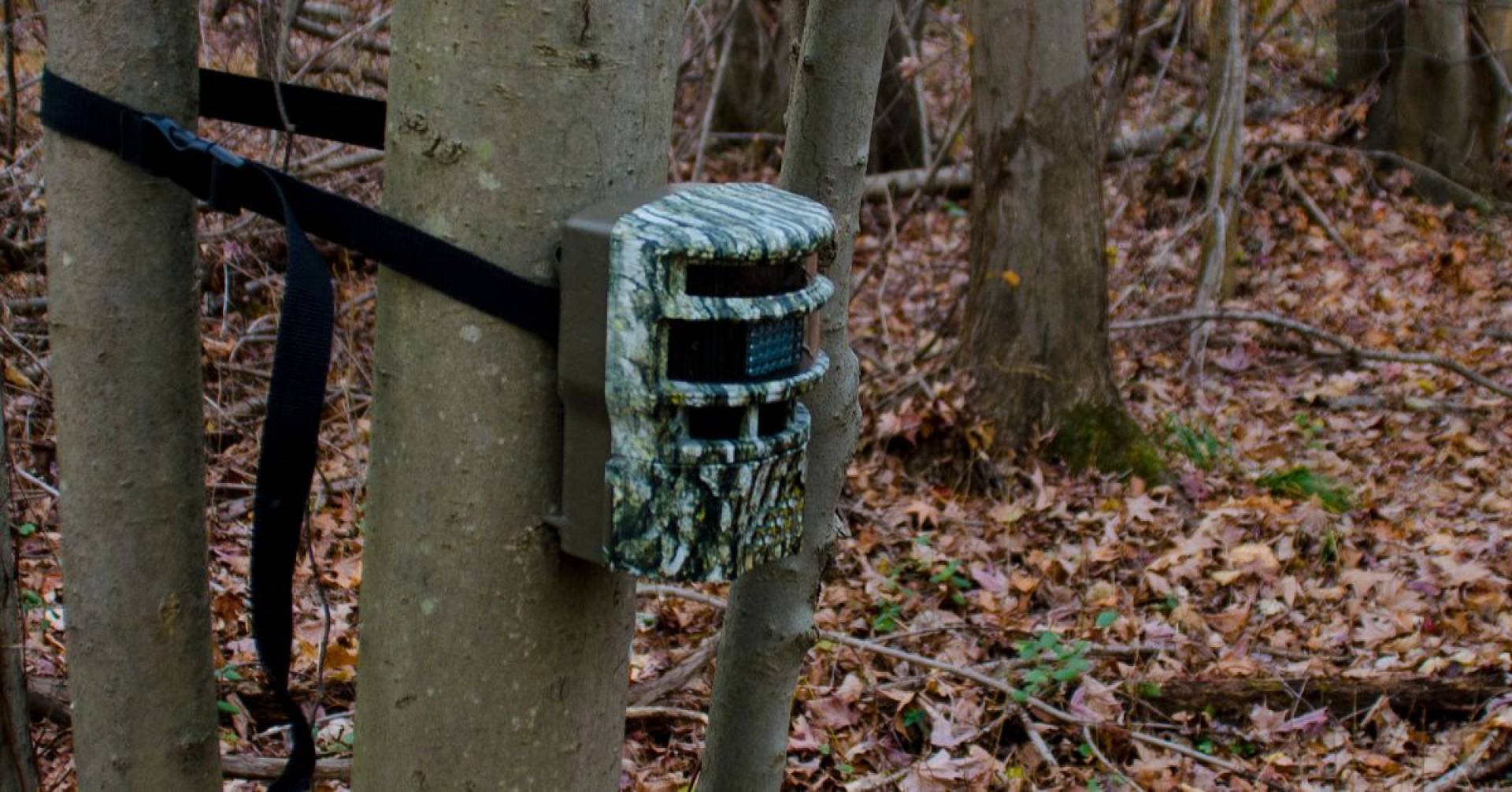 Best Infrared Trail Camera