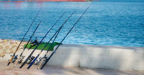 The Best Two Piece Fishing Rods For 2024