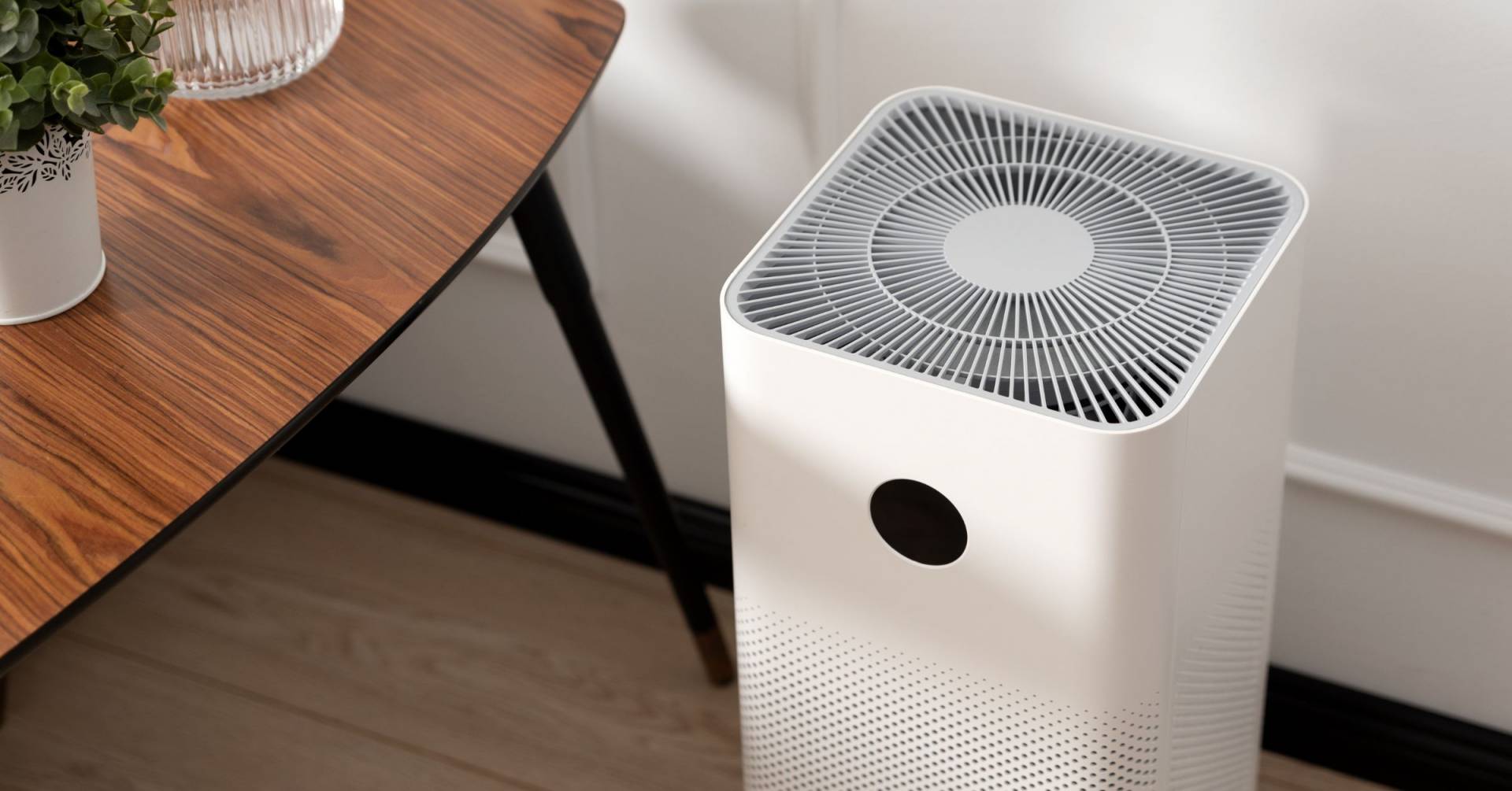 The Highest Rated Air Purifier Rankings In 2024 & Purchasing Tips