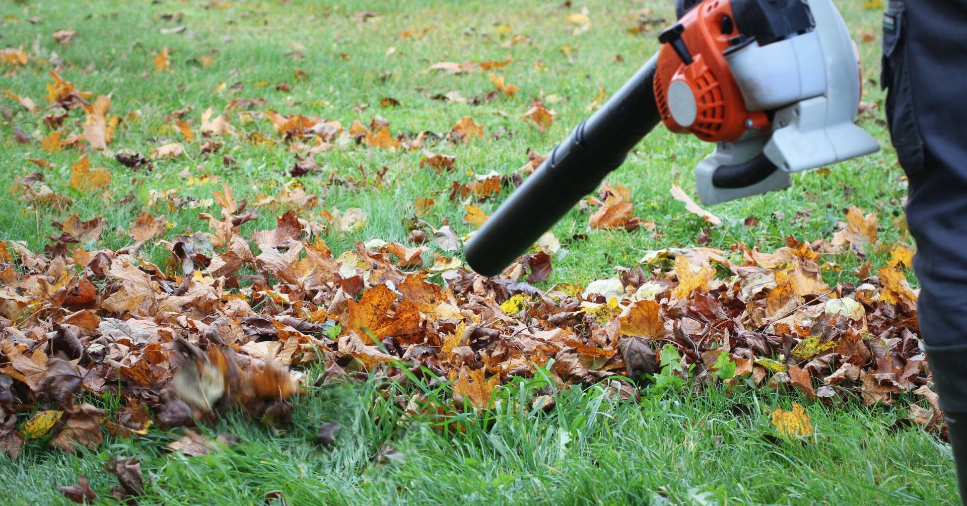 The Best Small Leaf Blower For 2024