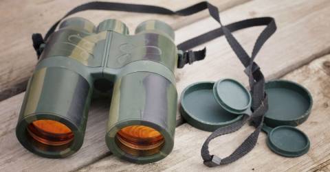 The Best 10x42 Binoculars For Hunting In 2024