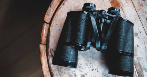 The 7 Best 10x50 Binoculars Of 2024, Tested By CampFireHQ