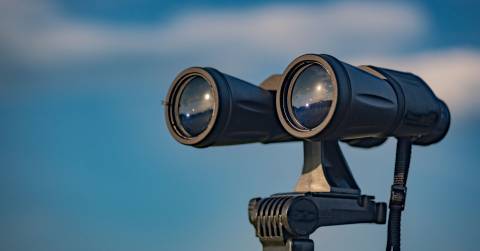 The Best 12x50 Binoculars For 2024