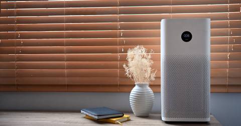 The Best Bedroom Air Purifier For Allergies In 2024