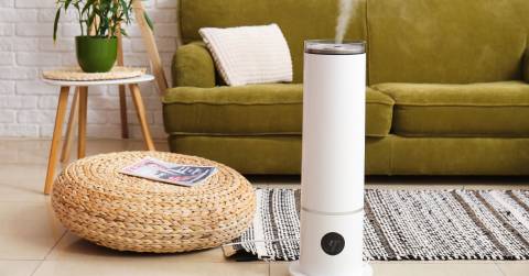 The Best Warm Air Humidifier For 2024