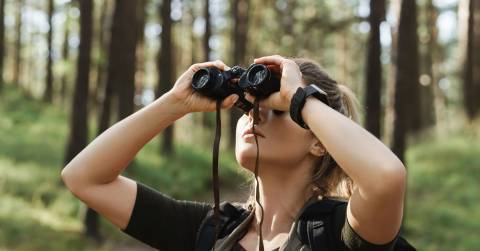 The Best Rated Binoculars For Bird Watching In 2025