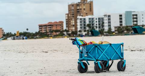 The Best Beach Buggy For 2024